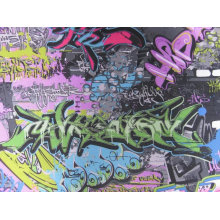 Oxford 900d Graffiti Printing Polyester Fabric (071)